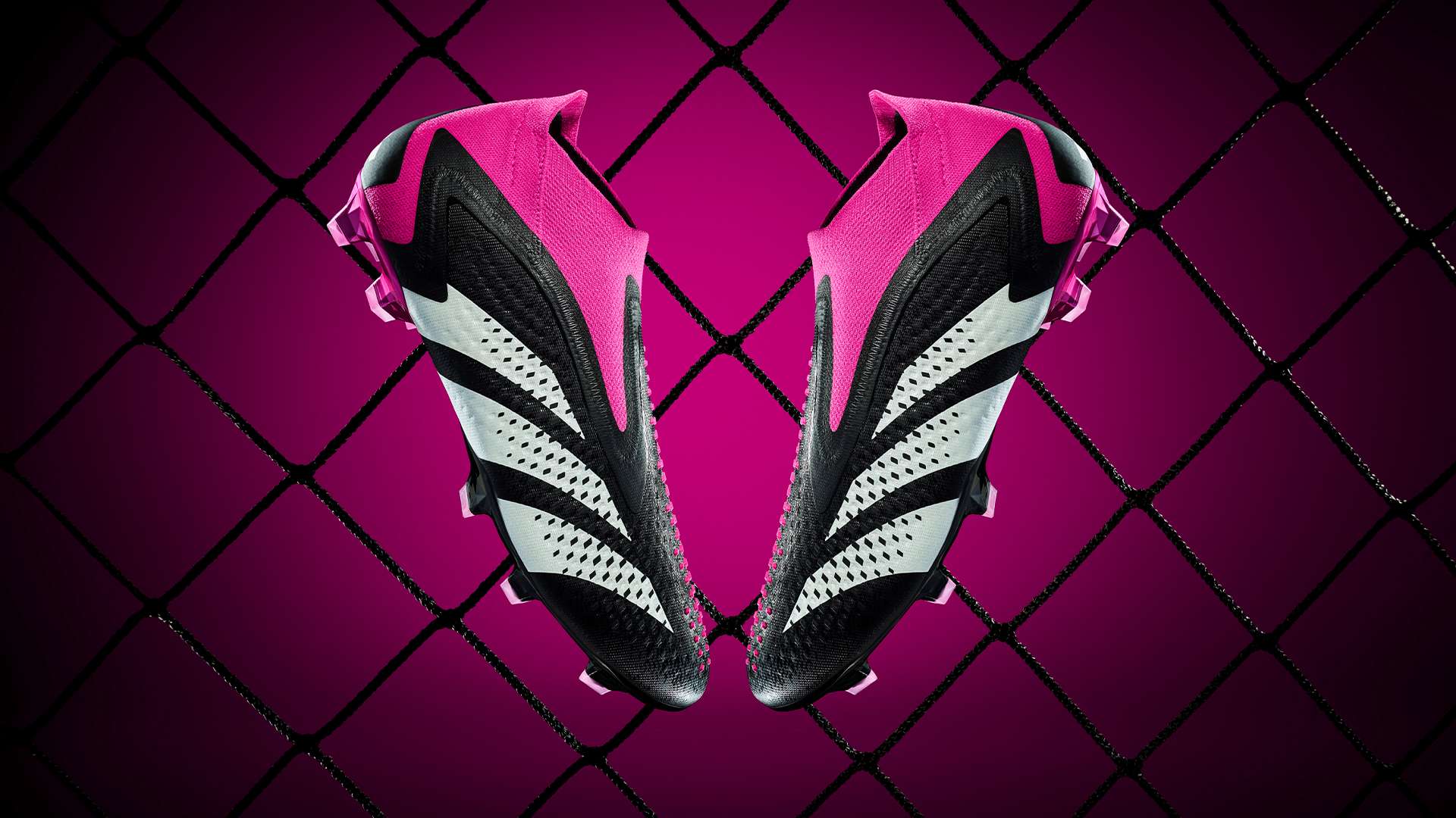 提供了大量 提供了大量